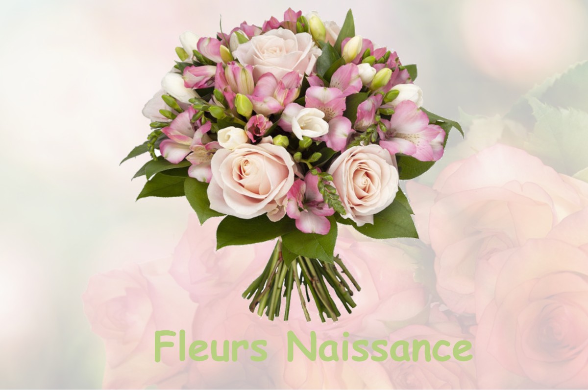fleurs naissance WAVRECHAIN-SOUS-FAULX